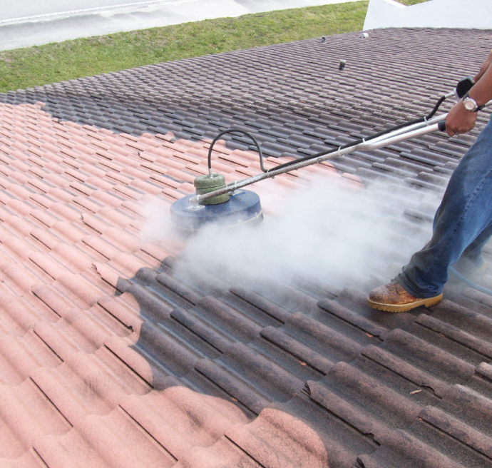 Roof Cleaning in Milton, GA