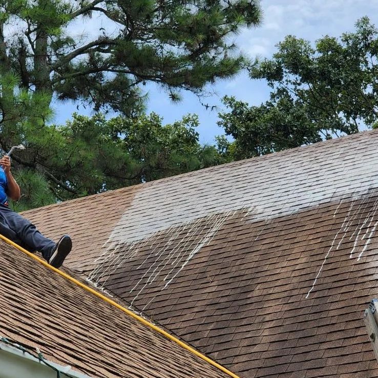 asphalt shingle roof cleaning for organic staining such as mildew and algae in Forsyth County