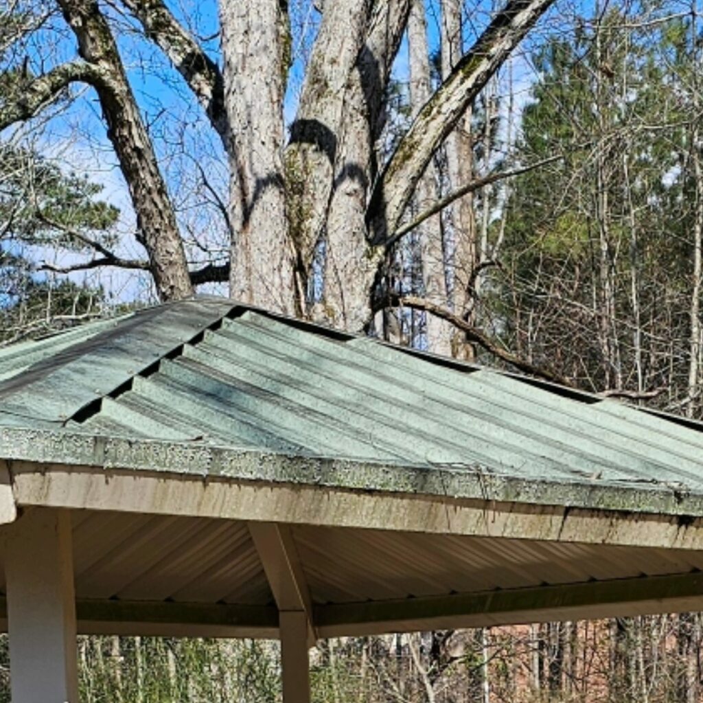 Suwanee, GA: Roof cleaning services for metal roof for mildew and mold